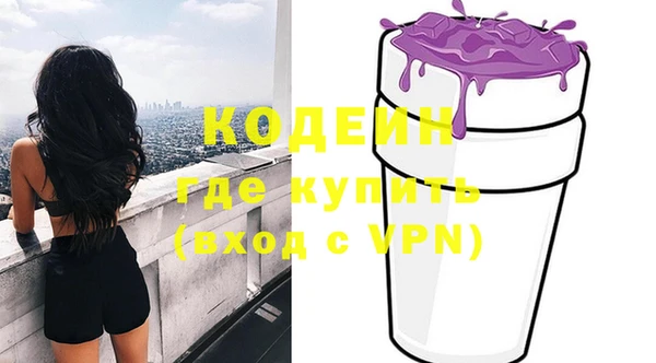 ешки Вяземский