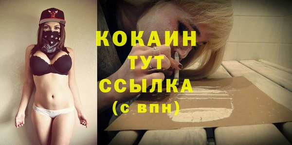 молекула духа Чегем