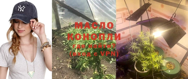 ешки Вяземский