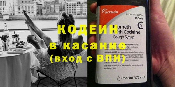 ешки Вяземский