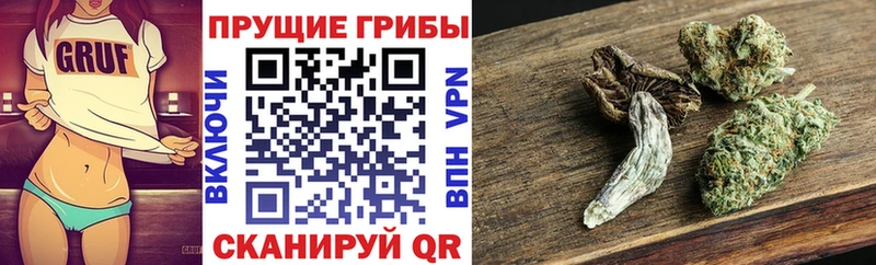 закладка  Наро-Фоминск  кракен ТОР  Псилоцибиновые грибы GOLDEN TEACHER 